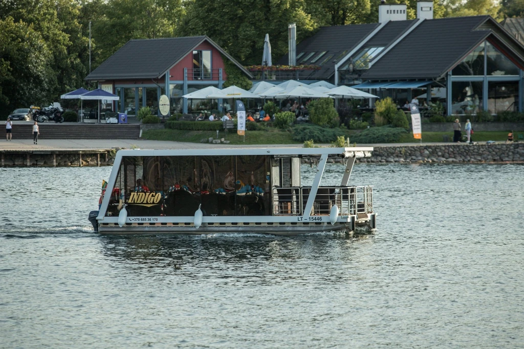 indigo11